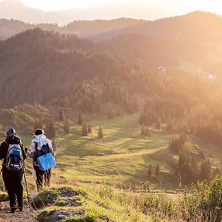 Das Grasberghaus المظهر الخارجي الصورة